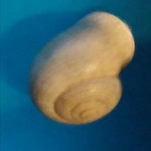 Meet your Posher, Joshua